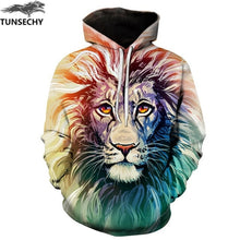 Load image into Gallery viewer, 3D Sweatshirt Print Paint Hoody Tracksuits