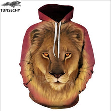 Load image into Gallery viewer, 3D Sweatshirt Print Paint Hoody Tracksuits